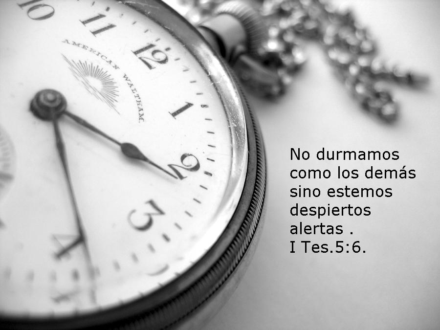 DESPIÉRTANOS SEÑOR…