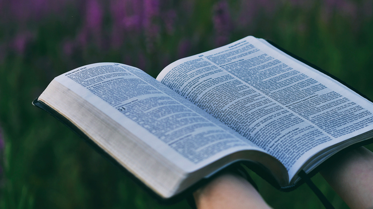 EL ATAQUE CONTRA EL ANTIGUO TESTAMENTO :  El Pentateuco